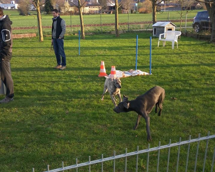 Vereinsgaststaette der Hundefreunde Gerlingen